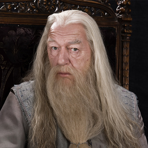 HARRY POTTER - Baguette Ollivander - Albus Dumbledore